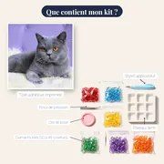British Shorthair aux Yeux Ambre sur Fond Mauve – contenu du kit