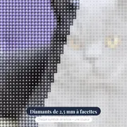 British Shorthair aux Yeux Ambre sur Fond Mauve – gros plan des diamants