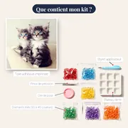 Duo de Chatons aux Yeux de Saphir – contenu du kit