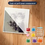 Duo de Chatons aux Yeux de Saphir – kit prêt à commencer