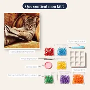 Chat Tigré Lecteur aux Lunettes Vertes – contenu du kit