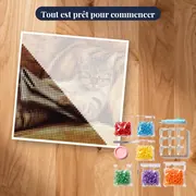 Chat Tigré Lecteur aux Lunettes Vertes – kit prêt à commencer