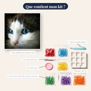 Félin aux Yeux d'Étoiles – contenu du kit