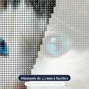 Félin aux Yeux d'Étoiles – gros plan des diamants
