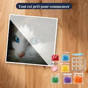 Félin aux Yeux d'Étoiles – kit prêt à commencer