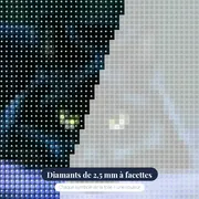 Chat Noir aux Yeux de Jade sur un Lit Violet – gros plan des diamants