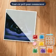 Chat Noir aux Yeux de Jade sur un Lit Violet – kit prêt à commencer