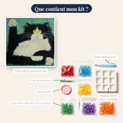 Chat Surpris aux Coussinets Roses – contenu du kit