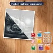 Chat duvet endormi sous la lune d'hiver – kit prêt à commencer
