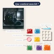 Chat Noir aux Yeux de Jade sous la Neige – contenu du kit