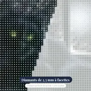 Chat Noir aux Yeux de Jade sous la Neige – gros plan des diamants