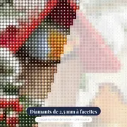 Rouges-Gorges sous la Neige : Nichoir d'Hiver – gros plan des diamants
