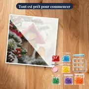 Rouges-Gorges sous la Neige : Nichoir d'Hiver – kit prêt à commencer