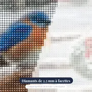 Oiseau Bleu et Grange de Noël – gros plan des diamants