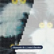 Chats Ébouriffés aux Yeux de Topaze – gros plan des diamants