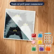 Chats Ébouriffés aux Yeux de Topaze – kit prêt à commencer