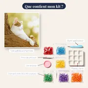 Chat Tigré au Soleil sur Branche Fleurie – contenu du kit