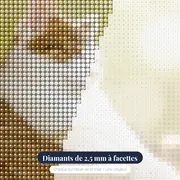 Chat Tigré au Soleil sur Branche Fleurie – gros plan des diamants