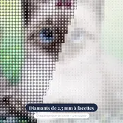 Chaton Siamois aux Fleurs Bleues – gros plan des diamants