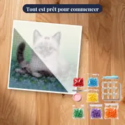 Chaton Siamois aux Fleurs Bleues – kit prêt à commencer