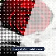 Rosa Rossa su Libro Antico – primo piano dei diamanti