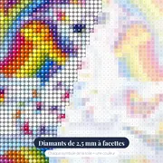 Chat Arc-en-Ciel sur Nuage Onirique – gros plan des diamants