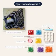 Chat Touffu aux Yeux de Topaze – contenu du kit