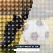 Goldene Fußballschuhe Auf Dem Rasen – Nahaufnahme der Steine