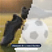 Crampons et Ballon sur Pelouse Dorée – gros plan des diamants