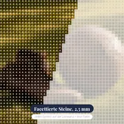 Stille Fußballschuhe Auf Grünem Rasen – Nahaufnahme der Steine