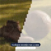 Leren Voetbalschoenen Op Het Veld – close-up van de steentjes