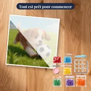Chiot Footballeur Joyeux Sur La Pelouse – kit prêt à commencer