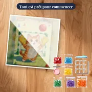 Gardien Félin Sur Le Terrain – kit prêt à commencer