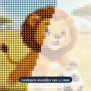 Vrolijke Leeuw Met Voetbal In Savanne – close-up van de steentjes