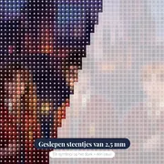 Harry, Hermelien en Ron bij Kasteel Zweinstein – close-up van de steentjes