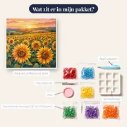 Uitgestrekt Zonnebloemveld Bij Gouden Zonsondergang – inhoud van het pakket