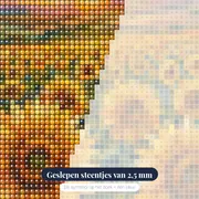 Uitgestrekt Zonnebloemveld Bij Gouden Zonsondergang – close-up van de steentjes