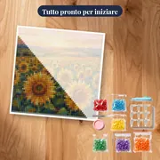 Vasto campo di girasoli al tramonto – kit pronto per iniziare