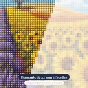 Lavande et tournesols sous le ciel provençal – gros plan des diamants