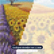 Lavendel En Zonnebloemen Onder De Zuiderzon – close-up van de steentjes