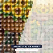 Vélo vintage et panier de tournesols au champ – gros plan des diamants