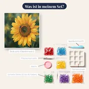 Sonnenblume mit Biene im Nahaufnahme – Inhalt des Sets