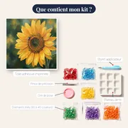 Gros plan tournesol et abeille butineuse – contenu du kit
