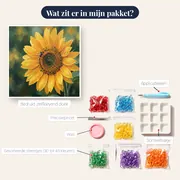 Grote Zonnebloem Met Bij Op Zachte Groene Achtergrond – inhoud van het pakket