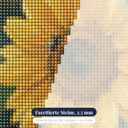 Sonnenblume mit Biene im Nahaufnahme – Nahaufnahme der Steine