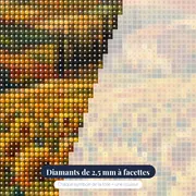Champ de tournesols et ferme toscane – gros plan des diamants