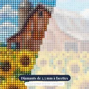 Grange rouge et champ de tournesols – gros plan des diamants