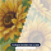 Drie zonnebloemen in losse aquarelstijl – close-up van de steentjes