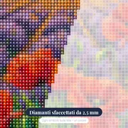 Papaveri Rossi Tra Filari Di Lavanda Viola – primo piano dei diamanti