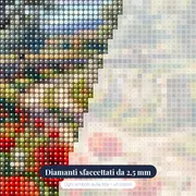 Sentiero di campagna tra fiori e ulivi – primo piano dei diamanti